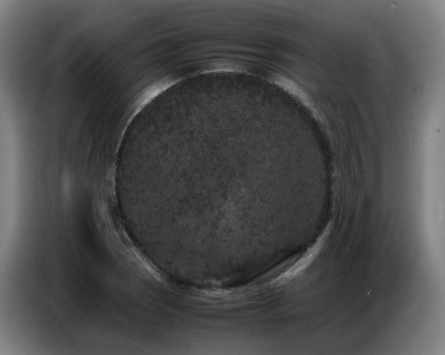 X0000087321121200704201105
