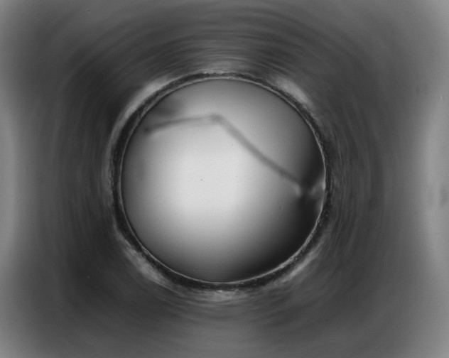 X0000087321122200704201105