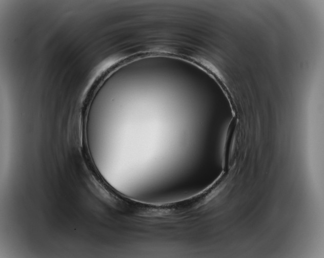 X0000087321123200704201105