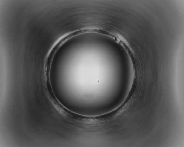 X0000087321124200704201105