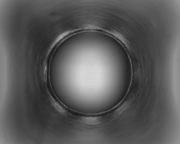 X0000087321126200704201105
