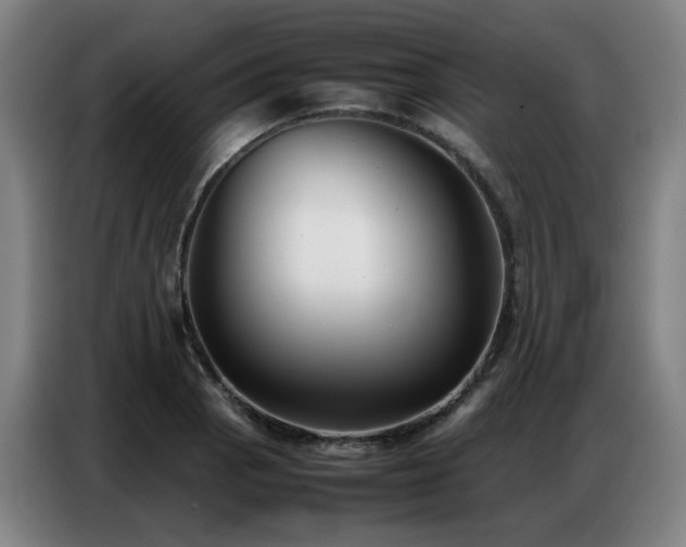 X0000087321129200704201105