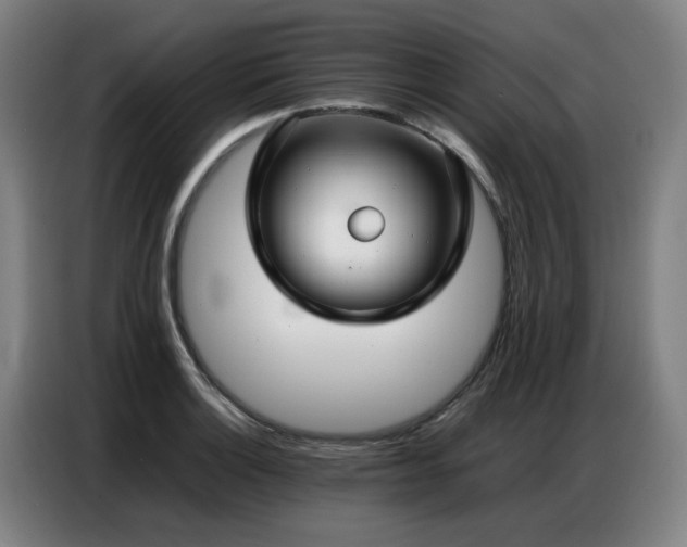 X0000087321132200704201105