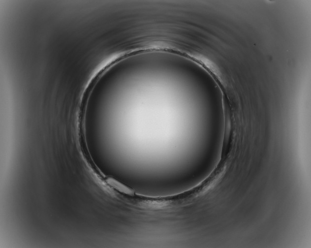 X0000087321134200704201106