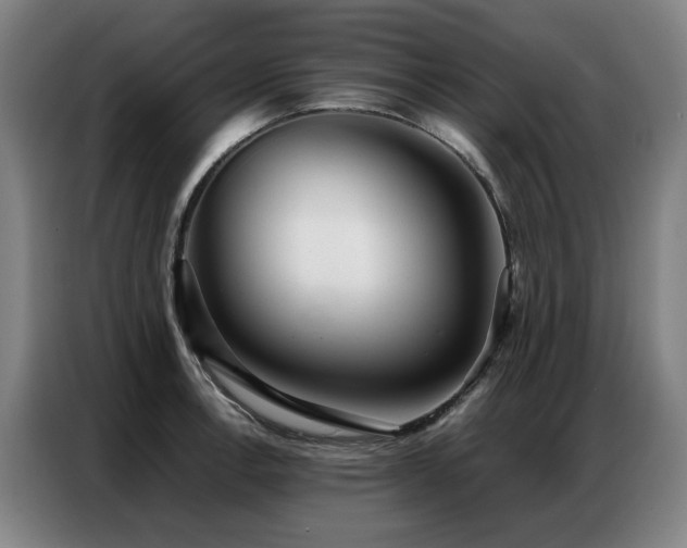 X0000087321138200704201106