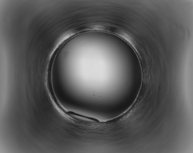 X0000087321139200704201106