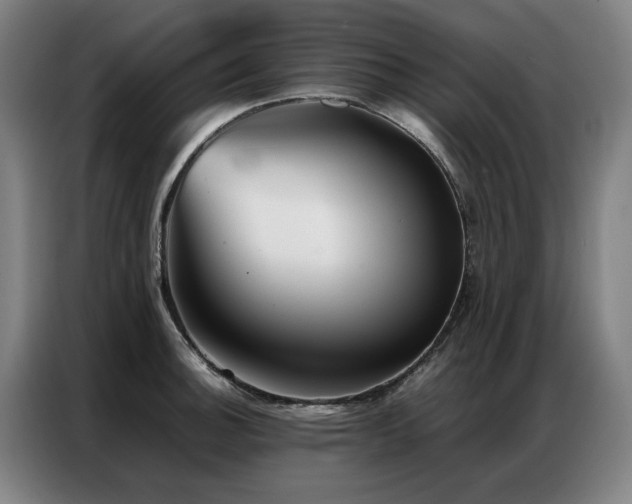 X0000087321140200704201106