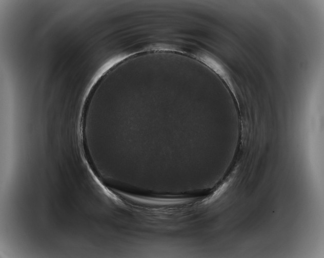 X0000087321141200704201106