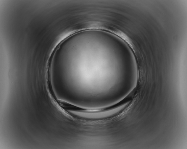 X0000087321142200704201106