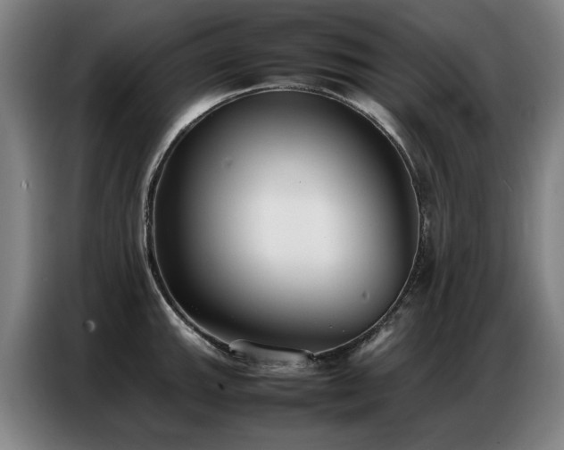 X0000087321143200704201106