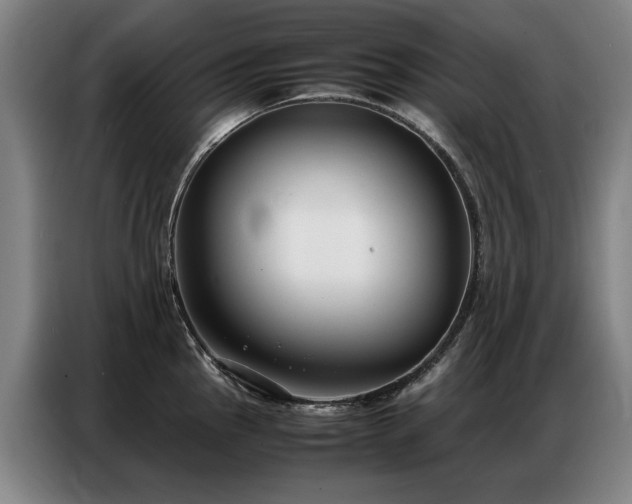 X0000087321145200704201106