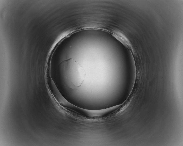 X0000087321146200704201106