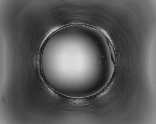 X0000087321149200704201106
