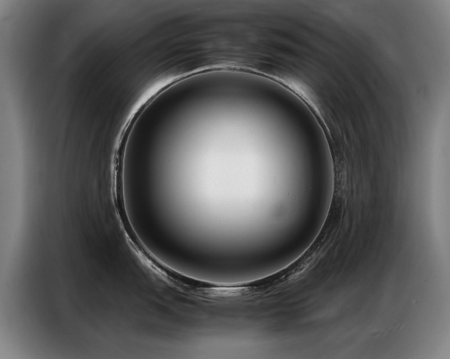 X0000087321151200704201106