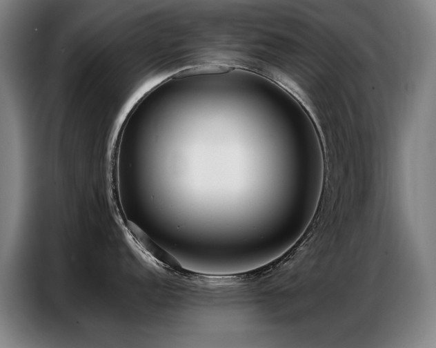 X0000087321152200704201106