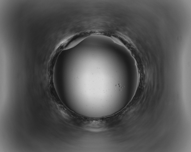 X0000087321160200704201105