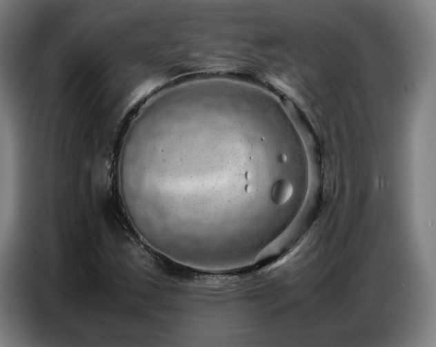 X0000087321163200704201105