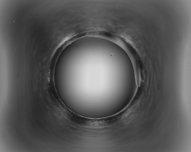 X0000087321165200704201105