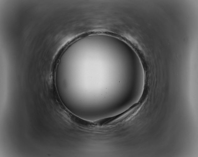X0000087321167200704201105