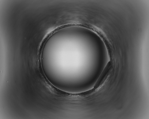 X0000087321168200704201105