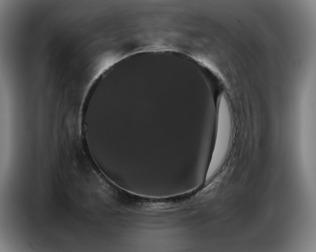 X0000087321173200704201105