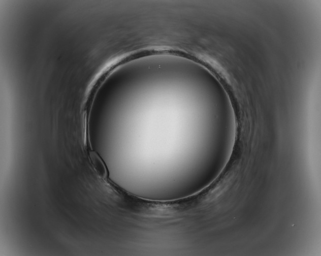 X0000087321175200704201105