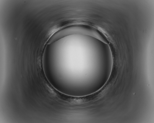 X0000087321177200704201105