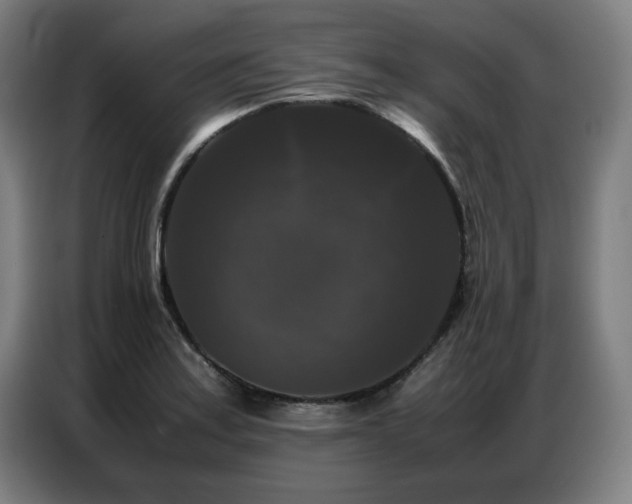 X0000087321179200704201105