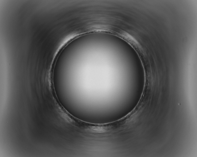 X0000087321182200704201105