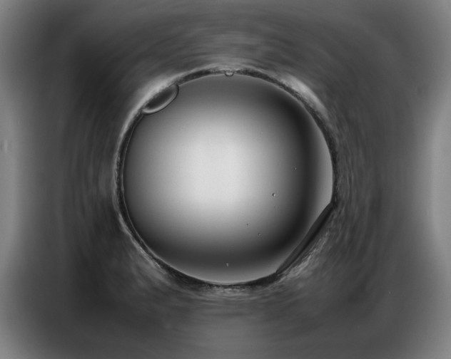 X0000087321183200704201105