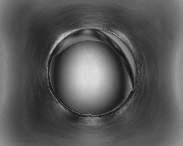 X0000087321184200704201105