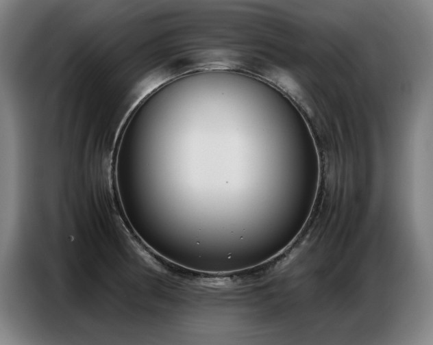 X0000087321186200704201105
