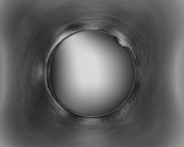 X0000087321187200704201105