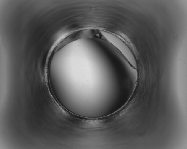 X0000087321188200704201105