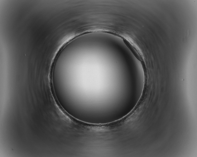 X0000087321189200704201105