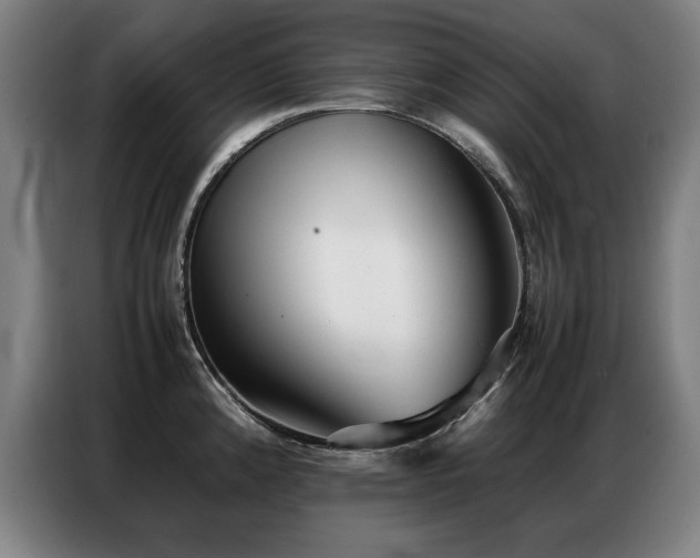 X0000087321192200704201105