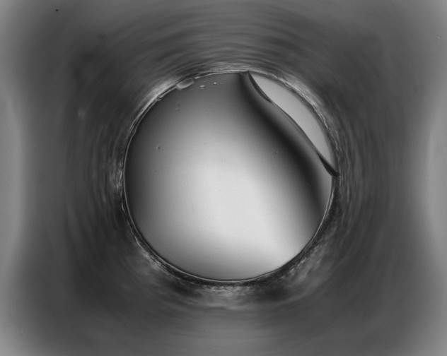 X0000087321193200704201105