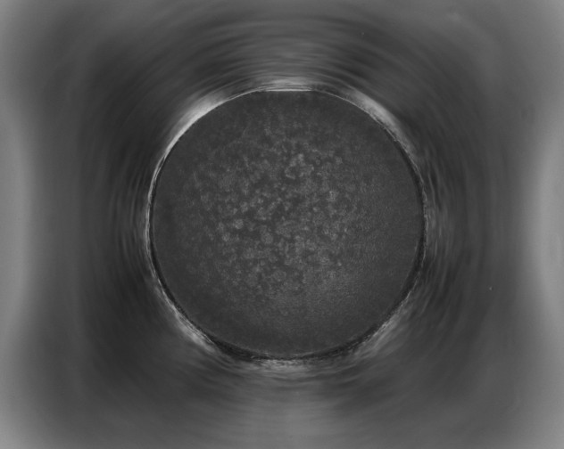 X0000087321194200704201105