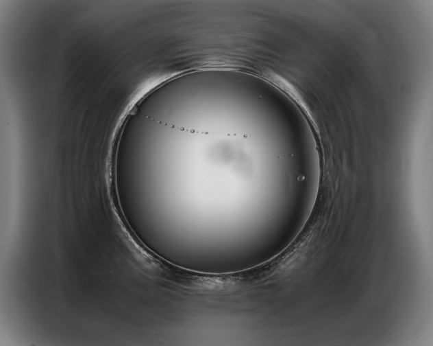 X0000087321195200704201105