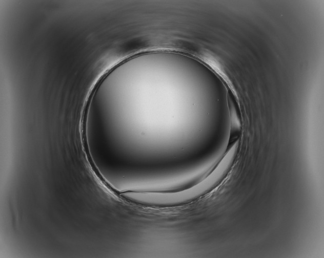 X0000087321197200704201105