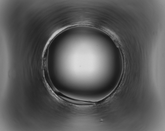 X0000087321200200704201105