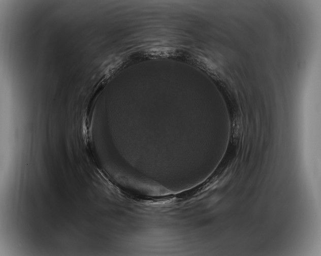X0000087321202200704201104