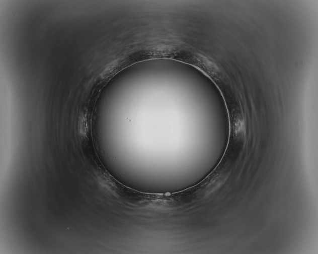 X0000087321204200704201104