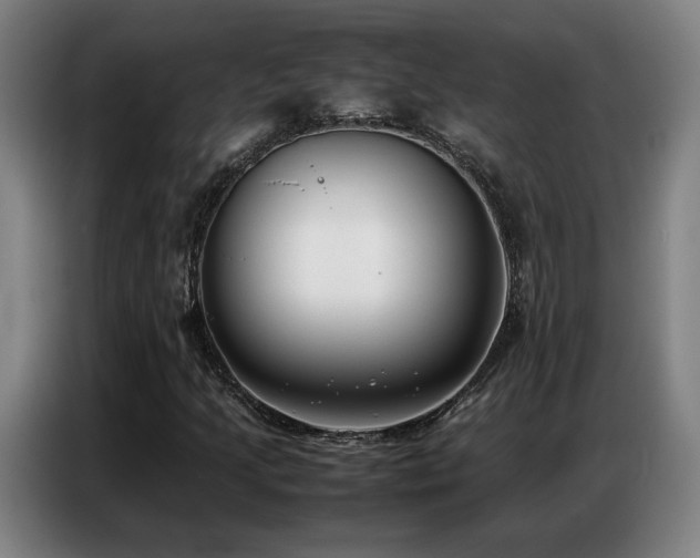 X0000087321205200704201104