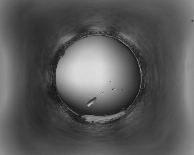 X0000087321207200704201104