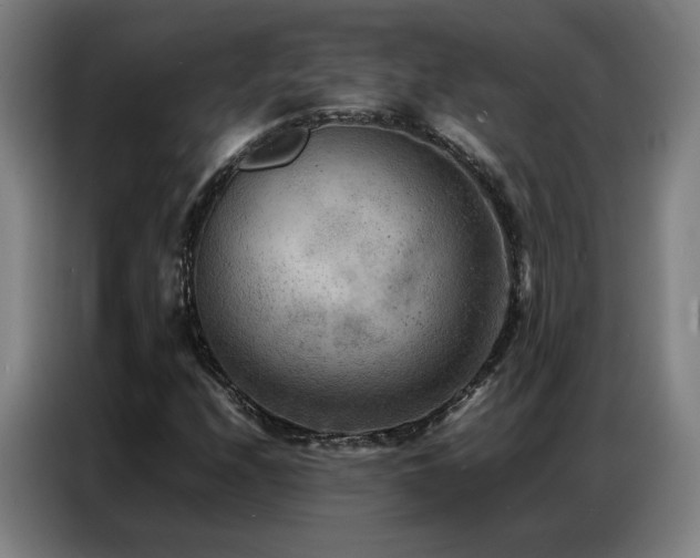 X0000087321208200704201104