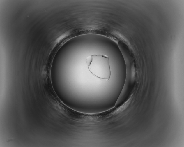 X0000087321210200704201104