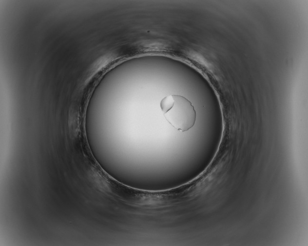 X0000087321211200704201104
