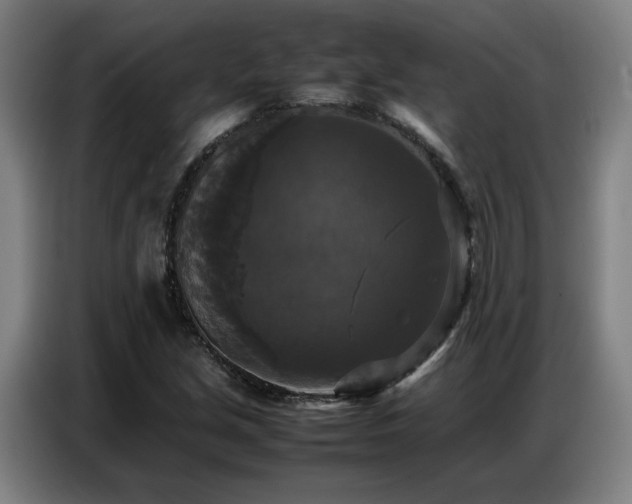 X0000087321213200704201104