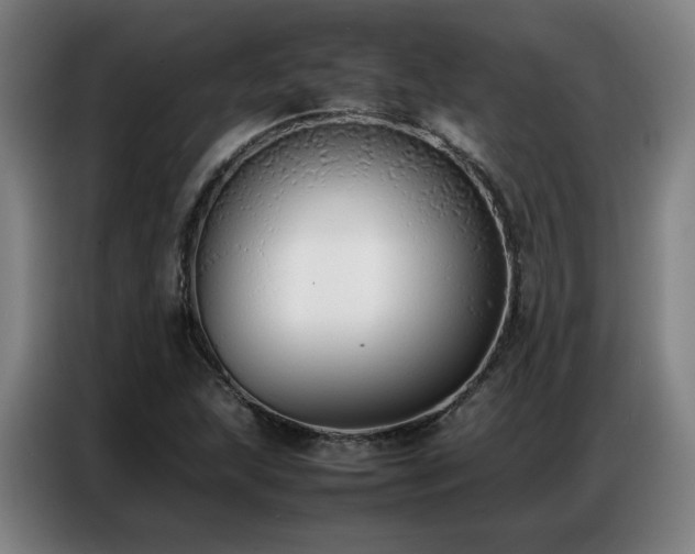 X0000087321215200704201104